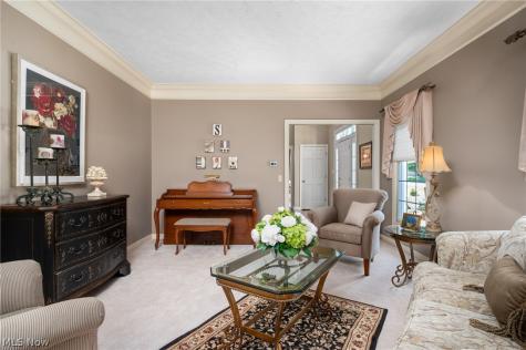 6559 Hammontree Drive Hudson OH 44236