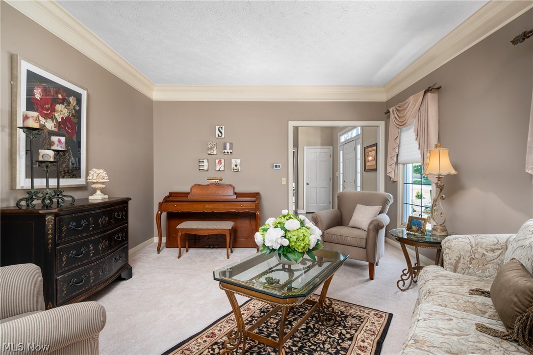 6559 Hammontree Drive Hudson OH 44236