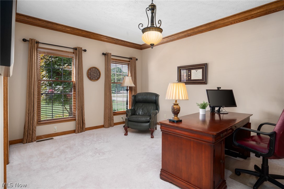 6559 Hammontree Drive Hudson OH 44236