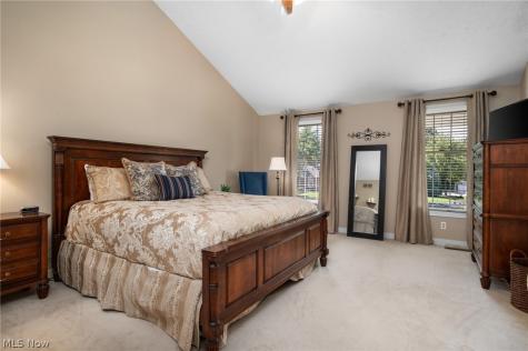 6559 Hammontree Drive Hudson OH 44236