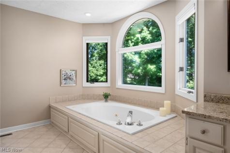6559 Hammontree Drive Hudson OH 44236