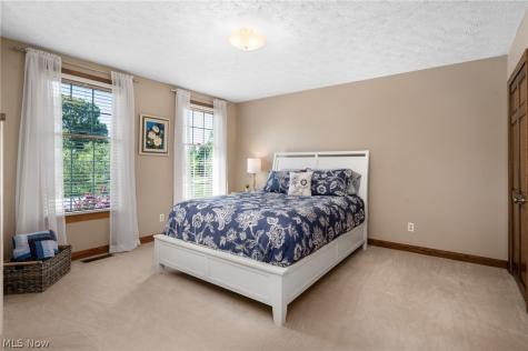 6559 Hammontree Drive Hudson OH 44236