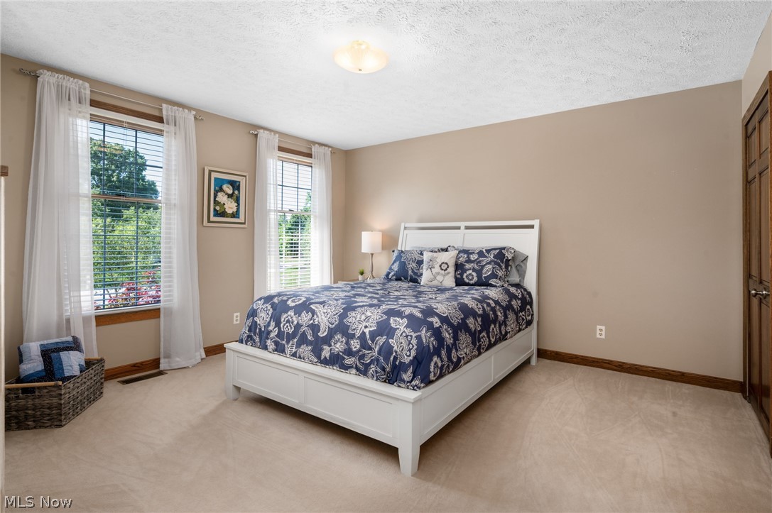 6559 Hammontree Drive Hudson OH 44236