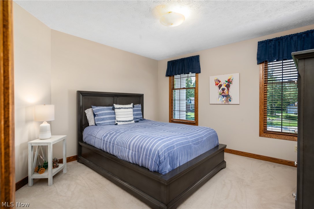 6559 Hammontree Drive Hudson OH 44236