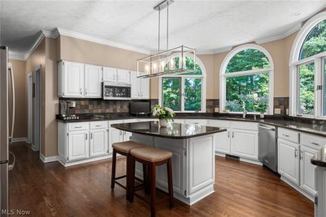 6559 Hammontree Drive Hudson OH 44236