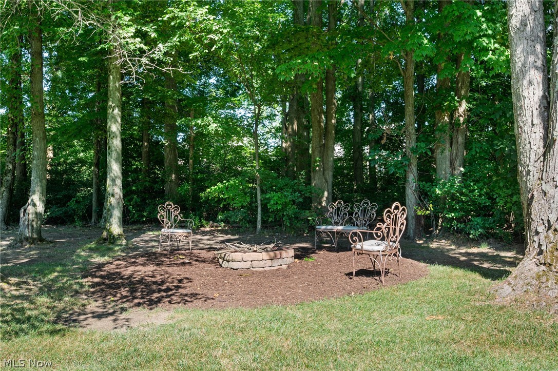 6559 Hammontree Drive Hudson OH 44236
