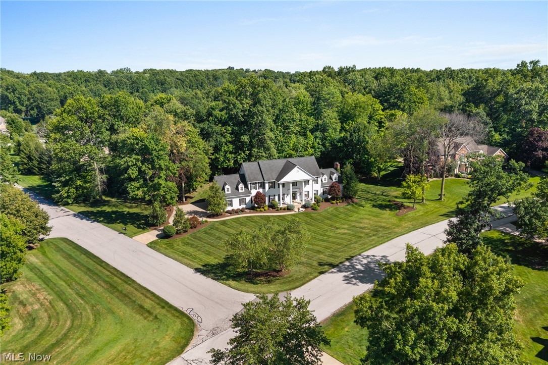 6559 Hammontree Drive Hudson OH 44236