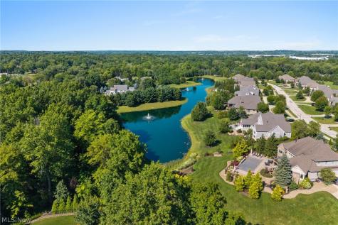 6559 Hammontree Drive Hudson OH 44236