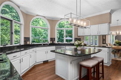 6559 Hammontree Drive Hudson OH 44236