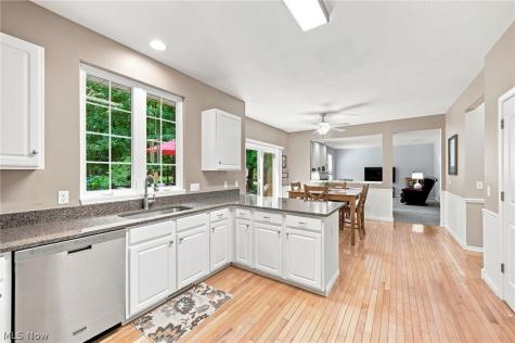 9144 Oakview Court Twinsburg OH 44087