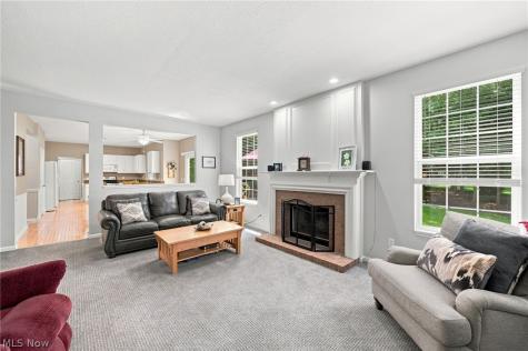 9144 Oakview Court Twinsburg OH 44087