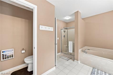 9144 Oakview Court Twinsburg OH 44087