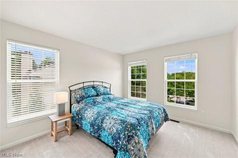 9144 Oakview Court Twinsburg OH 44087