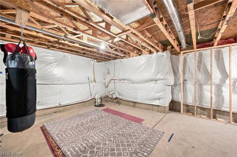 9144 Oakview Court Twinsburg OH 44087