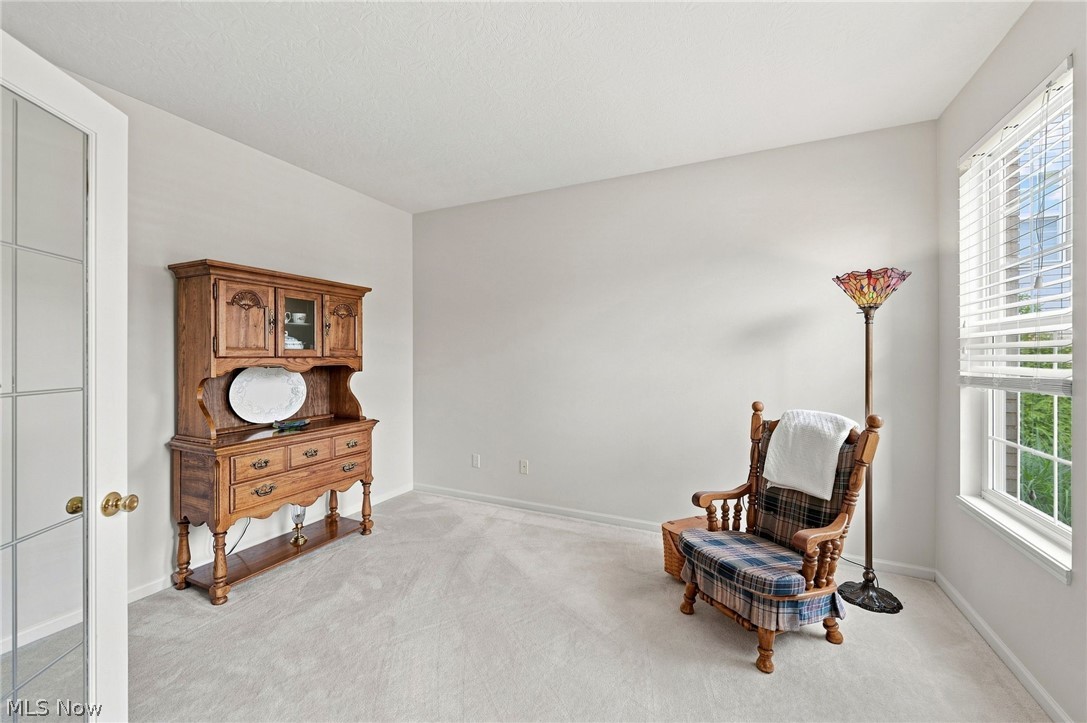 9144 Oakview Court Twinsburg OH 44087