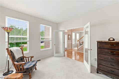 9144 Oakview Court Twinsburg OH 44087