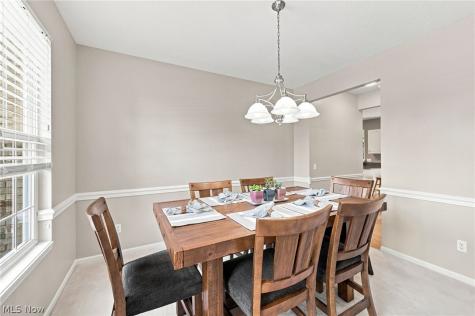 9144 Oakview Court Twinsburg OH 44087