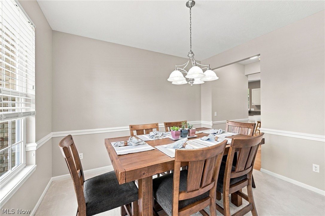 9144 Oakview Court Twinsburg OH 44087
