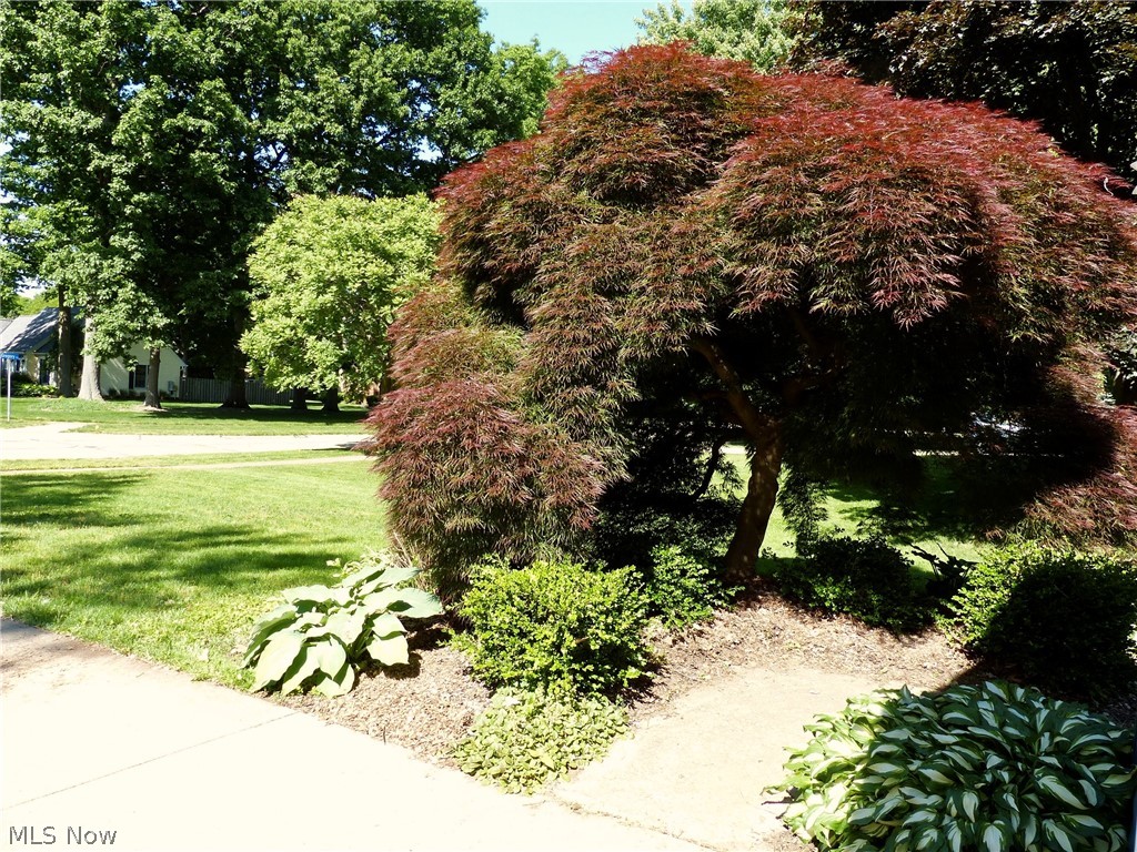 9144 Gregory Court Mentor OH 44060