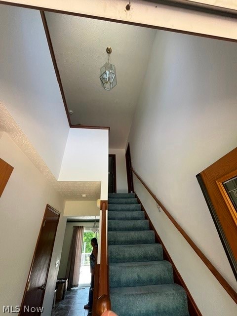 7998 Wolff Drive Garrettsville OH 44231