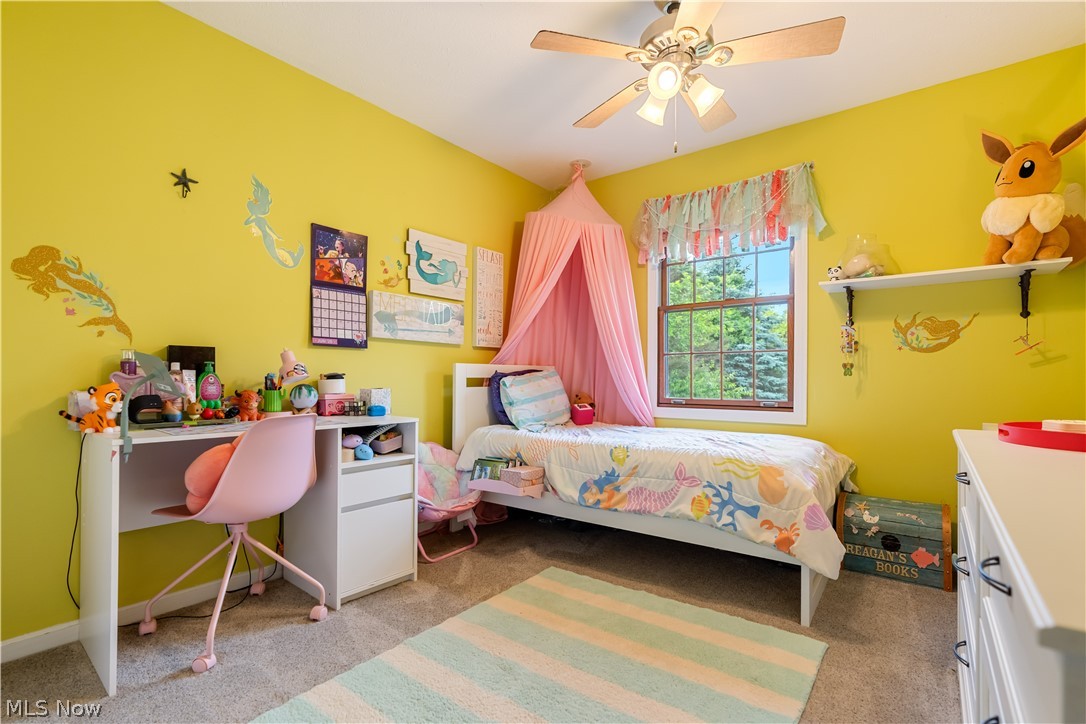 207 Mount Pleasant Road Green OH 44216