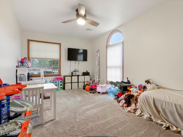 631 Maplewood Avenue Struthers OH 44471