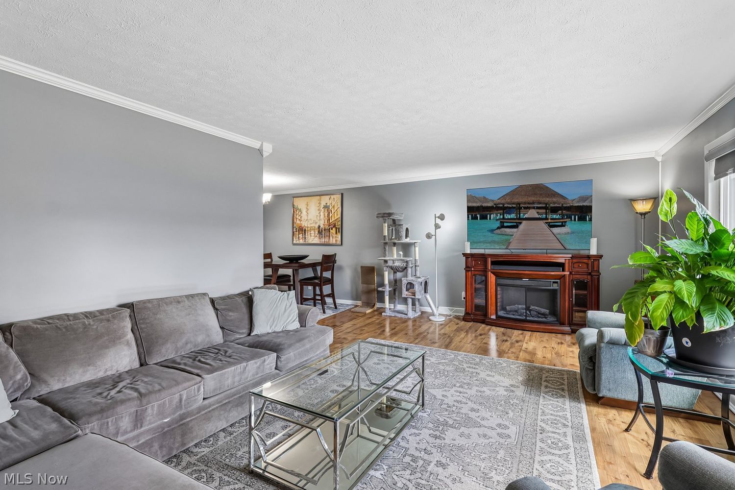 5935 Ashcroft Drive Mayfield Heights OH 44124