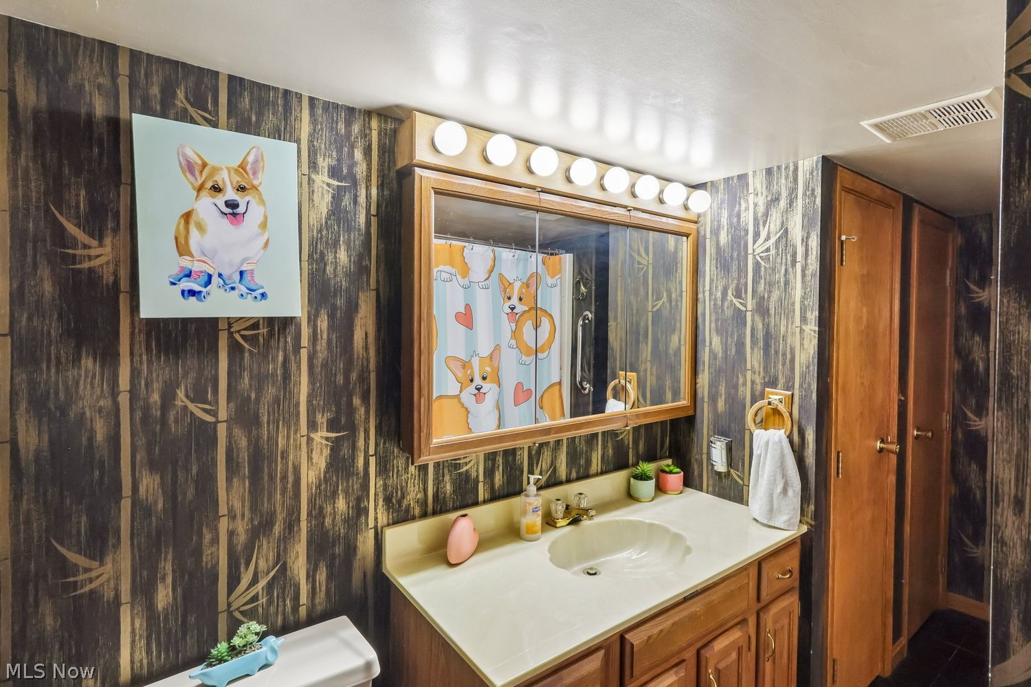 223 Southwood Drive Carlisle OH 44035