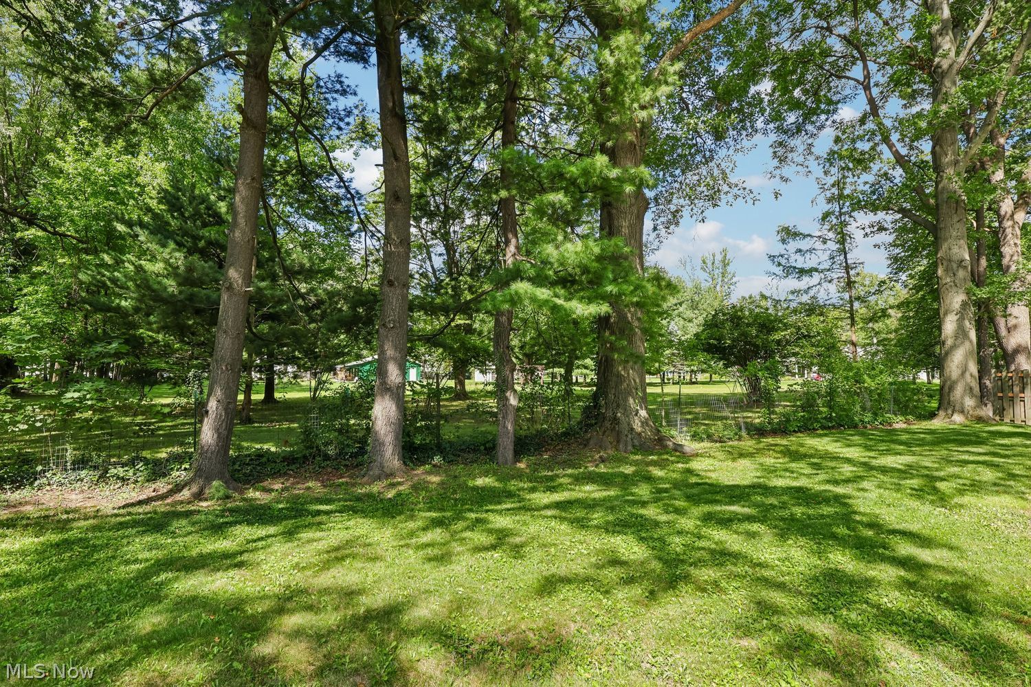 223 Southwood Drive Carlisle OH 44035