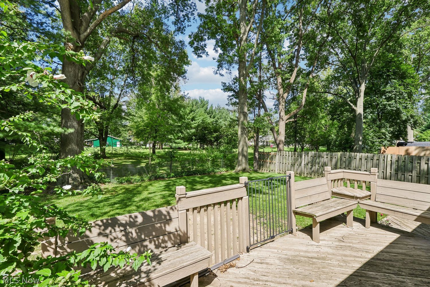 223 Southwood Drive Carlisle OH 44035