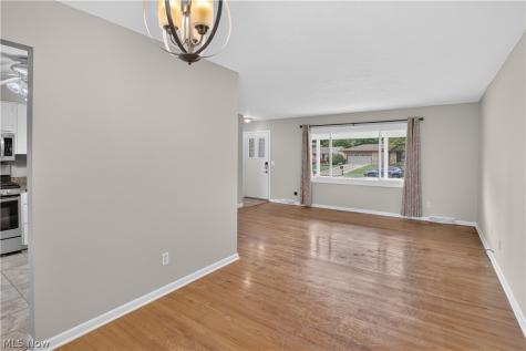 1124 Blueberry Hill Drive Brunswick OH 44212