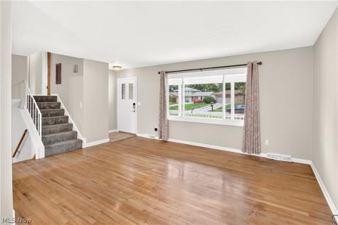 1124 Blueberry Hill Drive Brunswick OH 44212