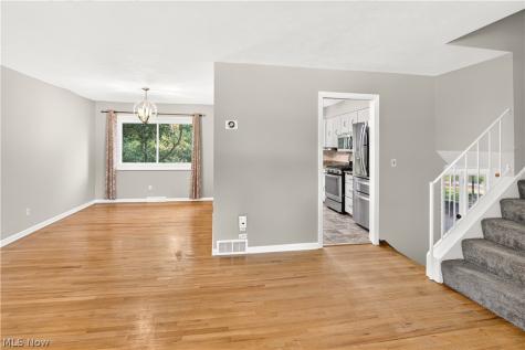 1124 Blueberry Hill Drive Brunswick OH 44212