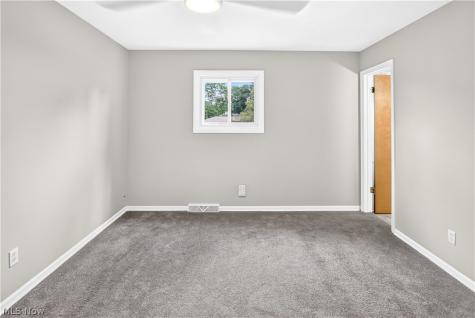 1124 Blueberry Hill Drive Brunswick OH 44212