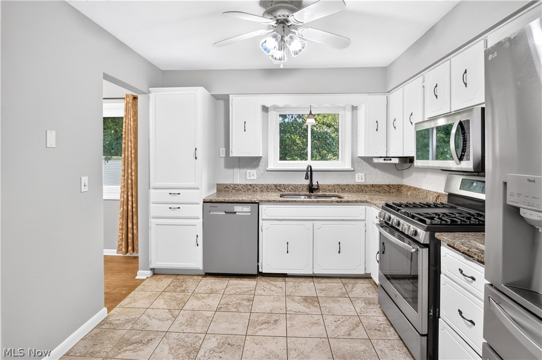 1124 Blueberry Hill Drive Brunswick OH 44212