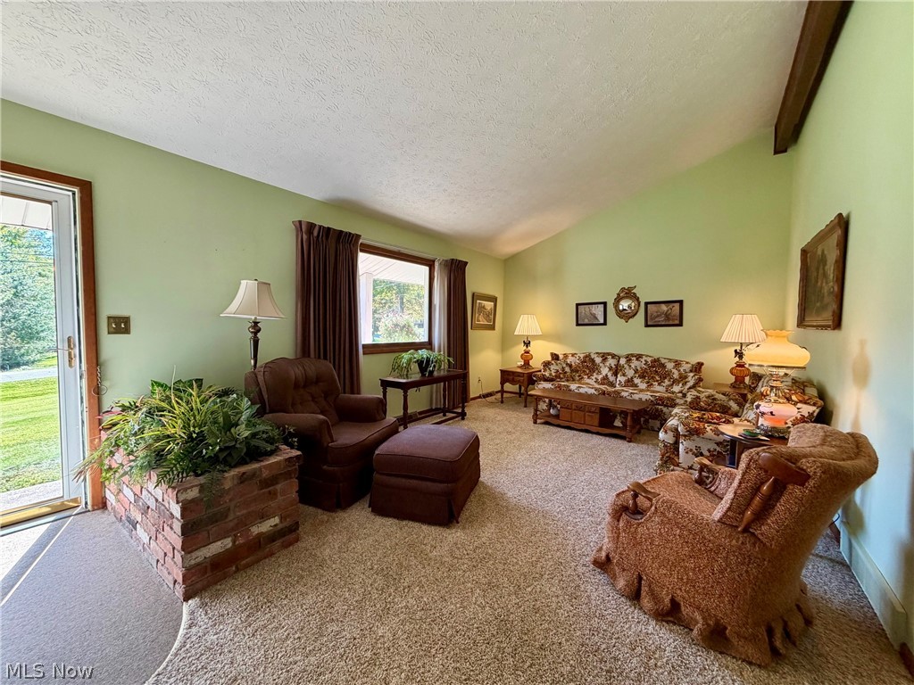 14320 Broadwood Drive Burton OH 44021