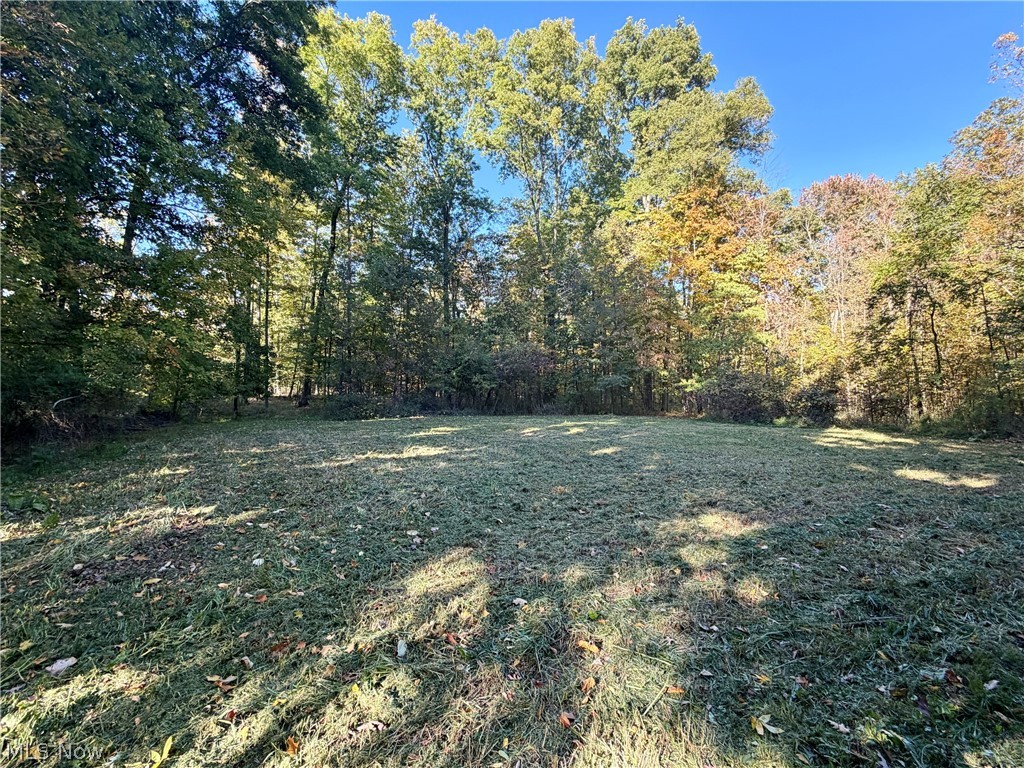 14320 Broadwood Drive Burton OH 44021