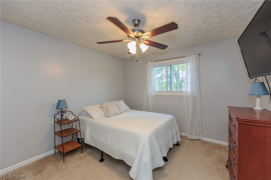 1012 Greenwich Avenue Grafton OH 44044
