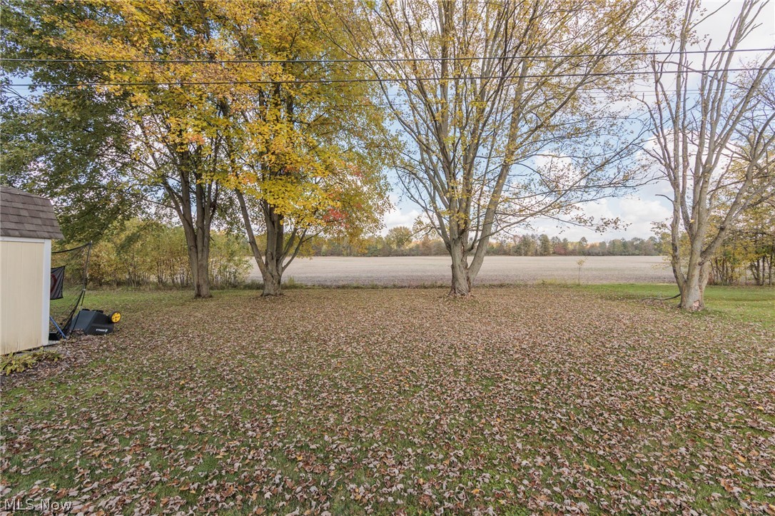 1012 Greenwich Avenue Grafton OH 44044