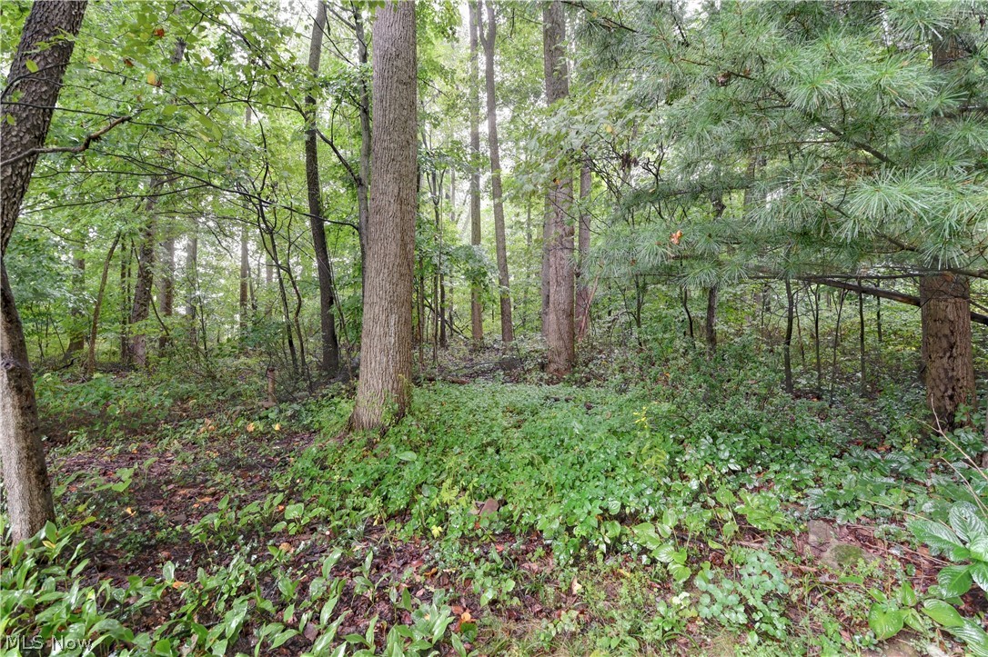 5771 County Road 407 Millersburg OH 44654