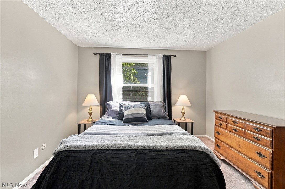 6155 Norwood Drive Mentor OH 44060