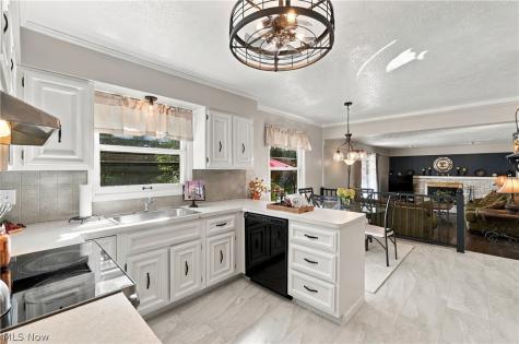 6155 Norwood Drive Mentor OH 44060