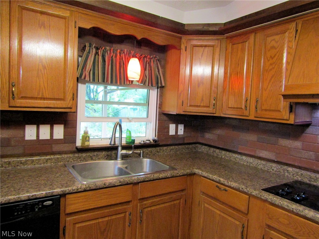 1921 Birch Trace Drive Austintown OH 44515