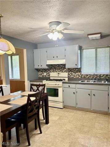 7265 Farnham Drive Mentor OH 44060