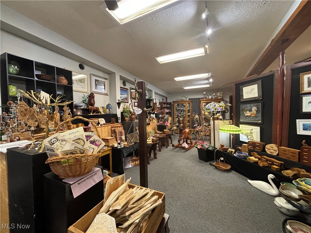 12157 State Route 88 Garrettsville OH 44231