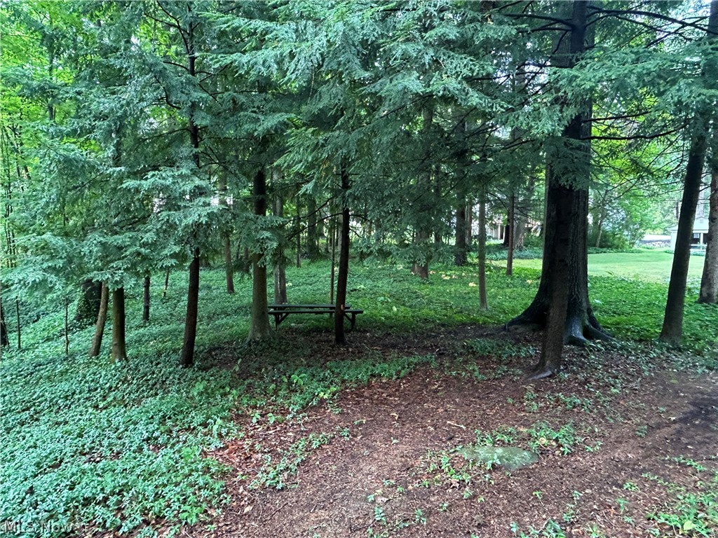 10347 Hillsover Drive Kirtland OH 44094