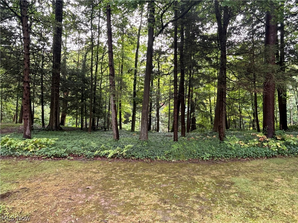 10347 Hillsover Drive Kirtland OH 44094