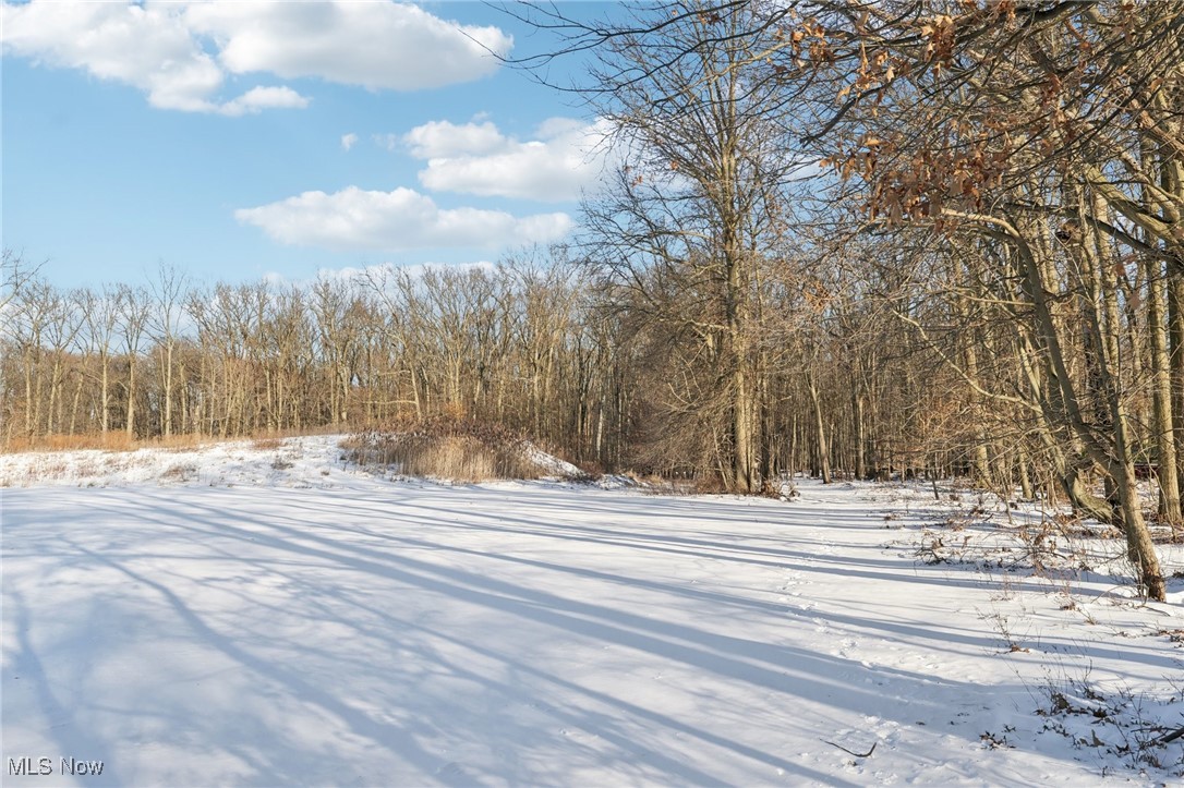 32672 Carriage Lane Avon Lake OH 44012