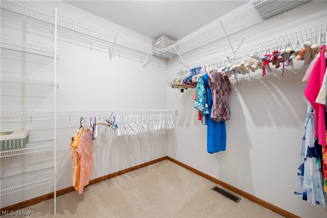 1009 Glendalough Drive Grafton OH 44044