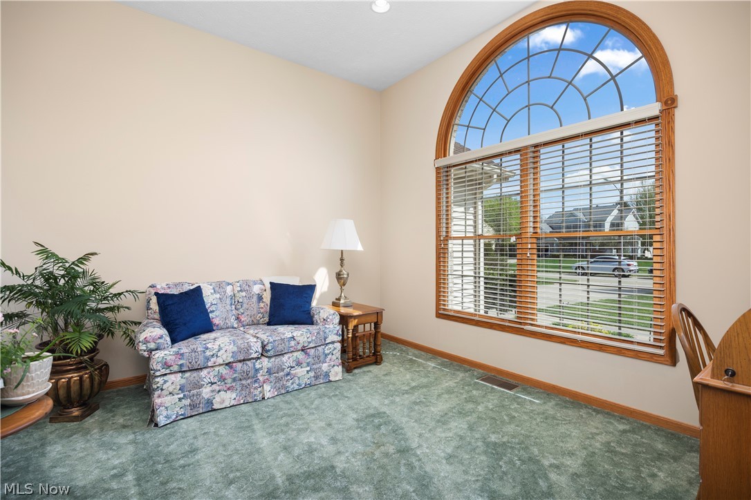 1009 Glendalough Drive Grafton OH 44044